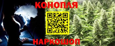 ГАЛЛЮЦИНОГЕННЫЕ ГРИБЫ Славгород