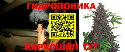 apvp Сланцы