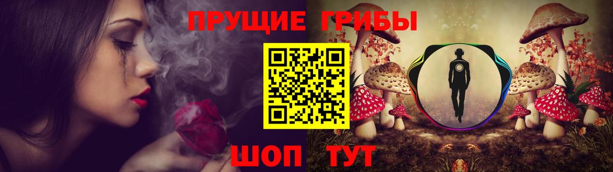 Галлюциногенные грибы мухоморы  Псилоцибиновые грибы GOLDEN TEACHER  Вход с VPN  Новороссийск 
