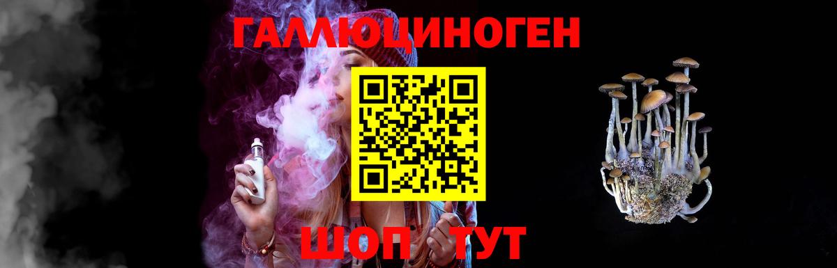 Галлюциногенные грибы Psilocybe Новороссийск